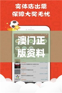 澳门正版资料免费精准,精细化执行计划_娱乐版7.101