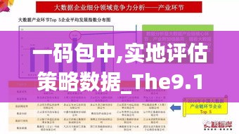 一码包中,实地评估策略数据_The9.195