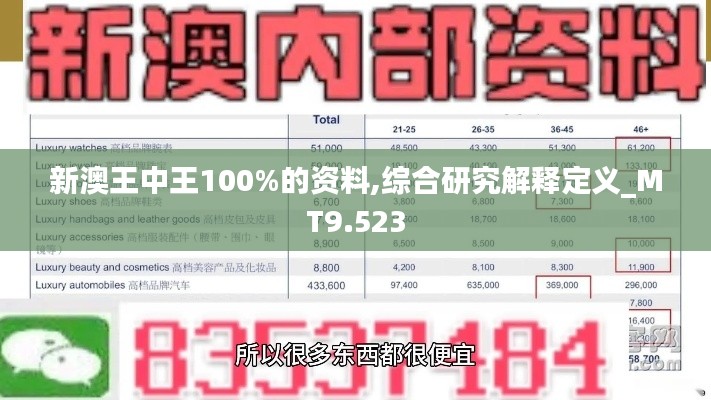 新澳王中王100%的资料,综合研究解释定义_MT9.523