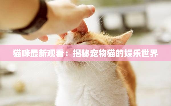 猫咪最新观看：揭秘宠物猫的娱乐世界