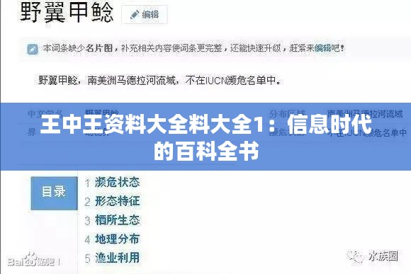 王中王资料大全料大全1：信息时代的百科全书