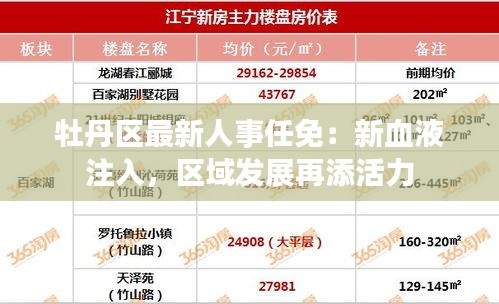 牡丹区最新人事任免：新血液注入，区域发展再添活力