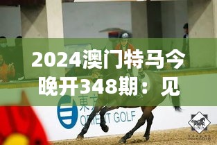 2024澳门特马今晚开348期：见证马术的精神与魅力