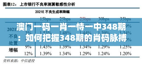 2024年12月13日 第7页