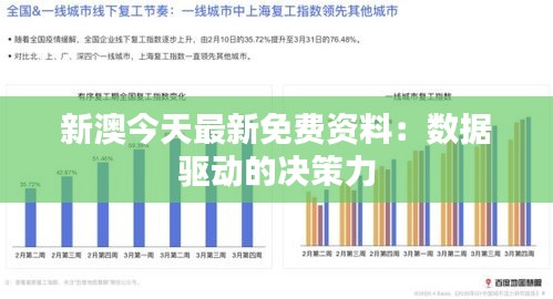 新澳今天最新免费资料：数据驱动的决策力