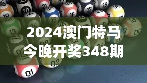 2024澳门特马今晚开奖348期开奖结果：与命运的游戏