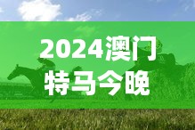 2024澳门特马今晚开奖097期：赛马背后的故事与文化