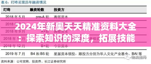 2024年新奥天天精准资料大全：探索知识的深度，拓展技能的广度