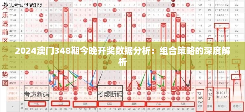 2024澳门348期今晚开奖数据分析：组合策略的深度解析