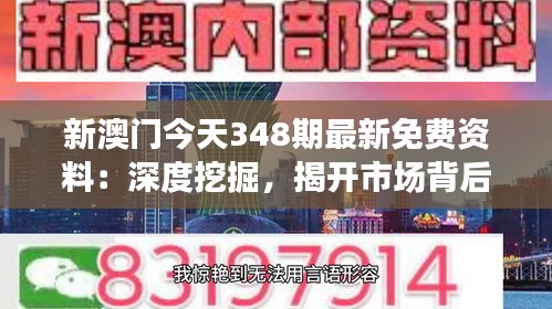 新澳门今天348期最新免费资料：深度挖掘，揭开市场背后的秘密