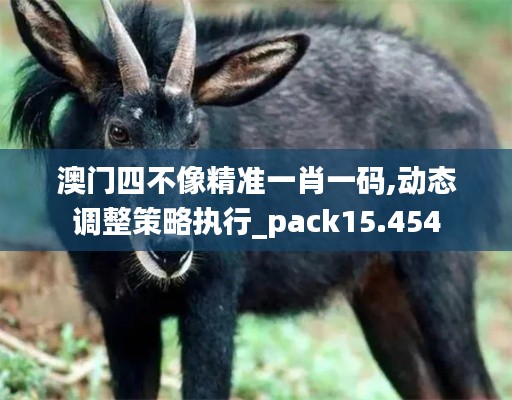 澳门四不像精准一肖一码,动态调整策略执行_pack15.454