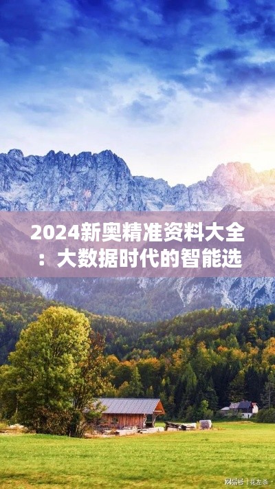 2024新奥精准资料大全：大数据时代的智能选择，精准无比