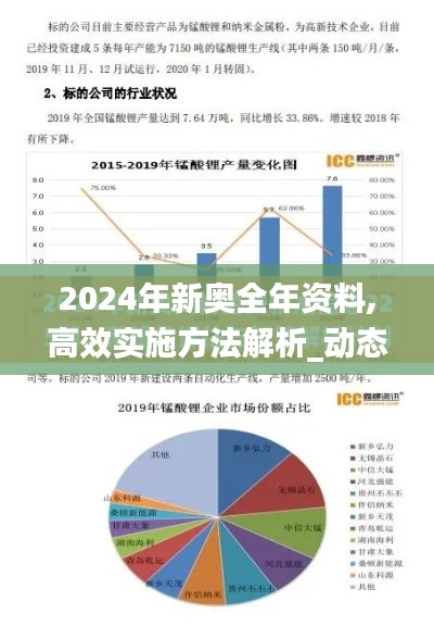 2024年新奥全年资料,高效实施方法解析_动态版3.217