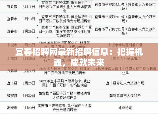 宜春招聘网最新招聘信息：把握机遇，成就未来