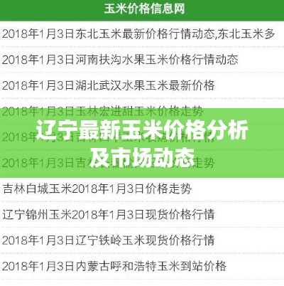 辽宁最新玉米价格分析及市场动态