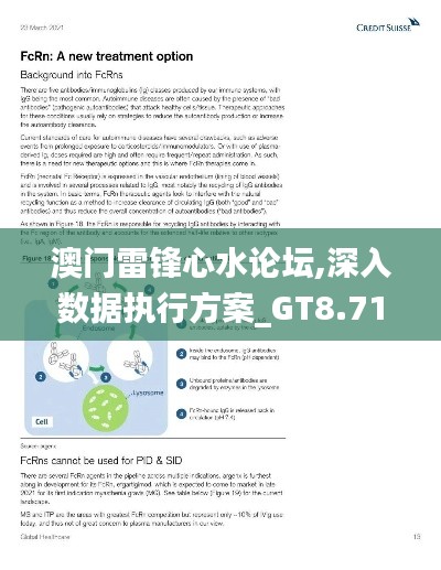 澳门雷锋心水论坛,深入数据执行方案_GT8.711