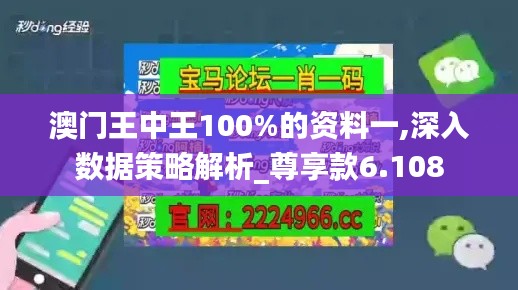 澳门王中王100%的资料一,深入数据策略解析_尊享款6.108