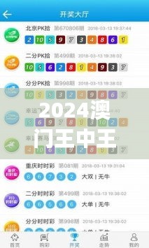 2024澳门王中王100%期期中,实地验证设计解析_XP110.224