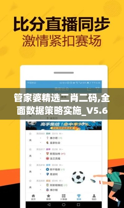 管家婆精选二肖二码,全面数据策略实施_V5.684