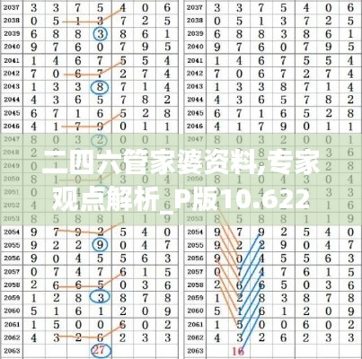 二四六管家婆资料,专家观点解析_P版10.622