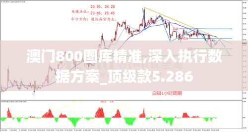 澳门800图库精准,深入执行数据方案_顶级款5.286