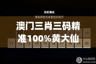 澳门三肖三码精准100%黄大仙,现象解答解释定义_ChromeOS4.907