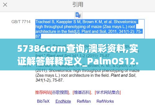 57386cσm查询,澳彩资料,实证解答解释定义_PalmOS12.719