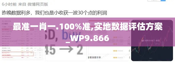 最准一肖一.100%准,实地数据评估方案_WP9.866