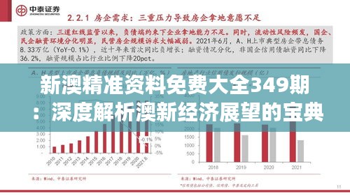 新澳精准资料免费大全349期：深度解析澳新经济展望的宝典