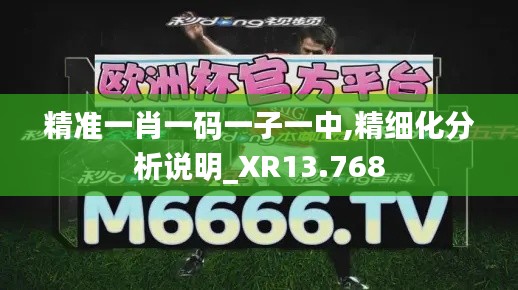 精准一肖一码一子一中,精细化分析说明_XR13.768