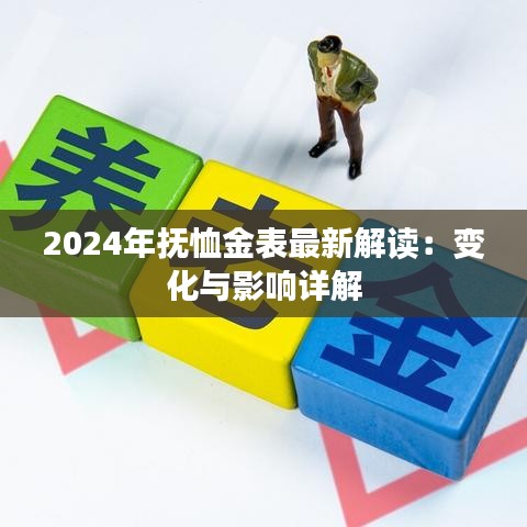 2024年抚恤金表最新解读：变化与影响详解