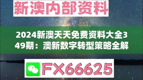 2024新澳天天免费资料大全349期：澳新数字转型策略全解析