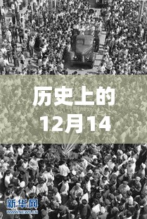 历史上的12月14日2024新澳门免费长期资料：见证澳门历史的转折点