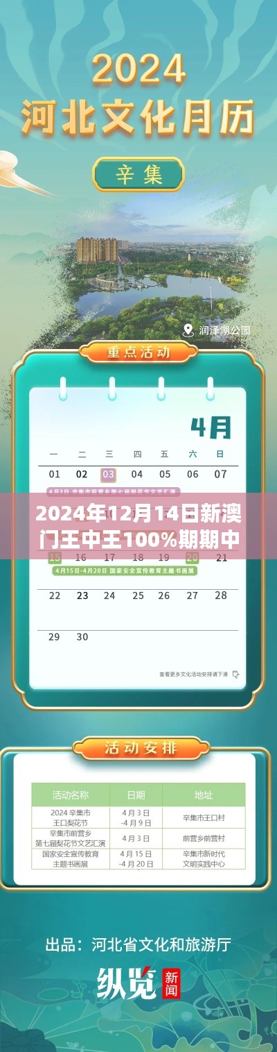 2024年12月14日新澳门王中王100%期期中：尽享博彩乐趣的完美时光