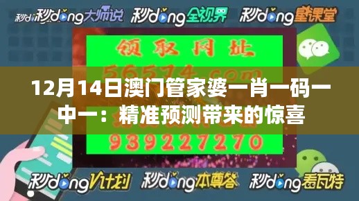 12月14日澳门管家婆一肖一码一中一：精准预测带来的惊喜