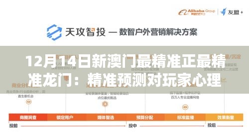 12月14日新澳门最精准正最精准龙门：精准预测对玩家心理的影响