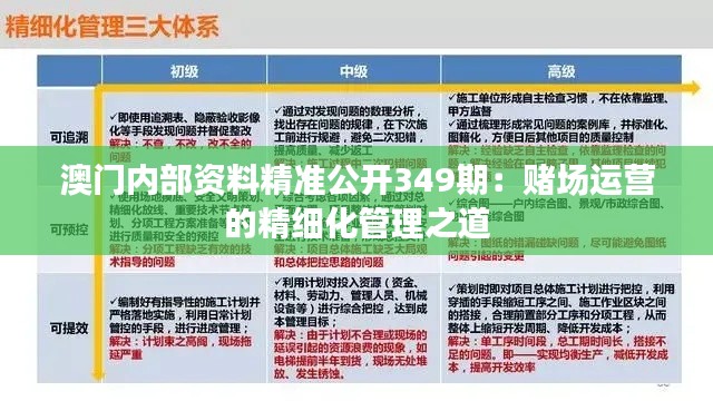 澳门内部资料精准公开349期：赌场运营的精细化管理之道