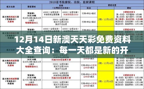 12月14日新澳天天彩免费资料大全查询：每一天都是新的开始