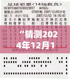 2024年12月14日 第11页