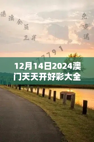 12月14日2024澳门天天开好彩大全开奖结果：财富与运气的对决