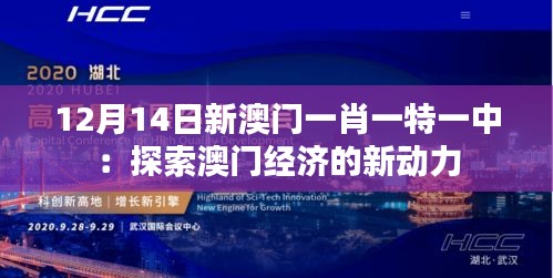 12月14日新澳门一肖一特一中：探索澳门经济的新动力