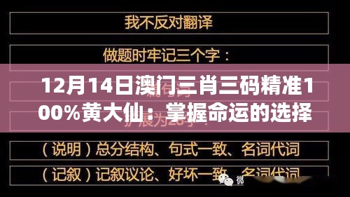 12月14日澳门三肖三码精准100%黄大仙：掌握命运的选择