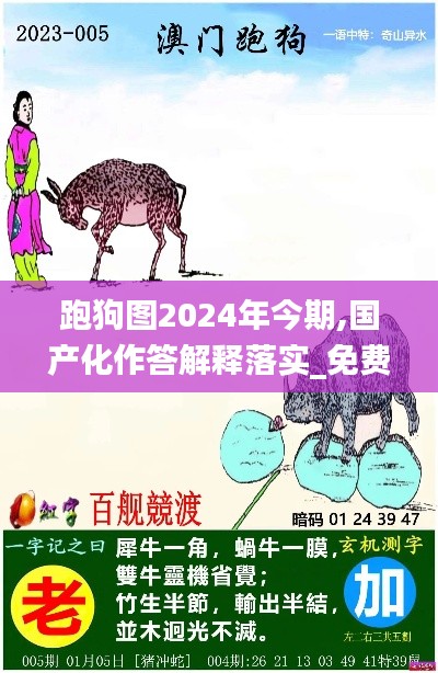 跑狗图2024年今期,国产化作答解释落实_免费版13.926