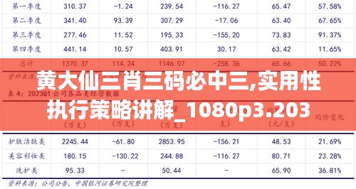 黄大仙三肖三码必中三,实用性执行策略讲解_1080p3.203