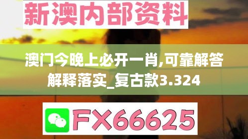 澳门今晚上必开一肖,可靠解答解释落实_复古款3.324