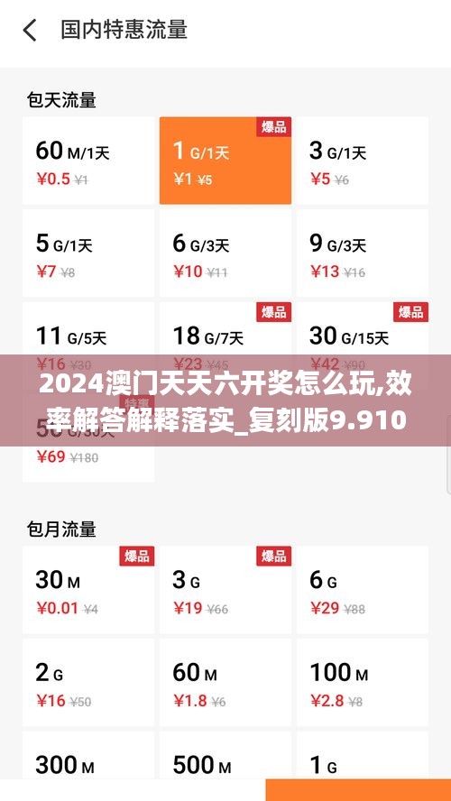 2024澳门天天六开奖怎么玩,效率解答解释落实_复刻版9.910