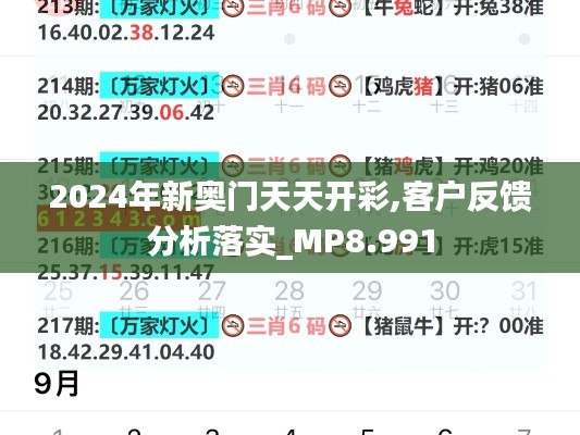 2024年新奥门天天开彩,客户反馈分析落实_MP8.991