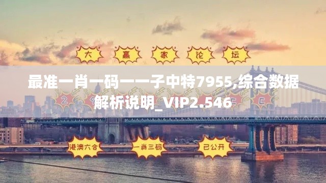 最准一肖一码一一子中特7955,综合数据解析说明_VIP2.546