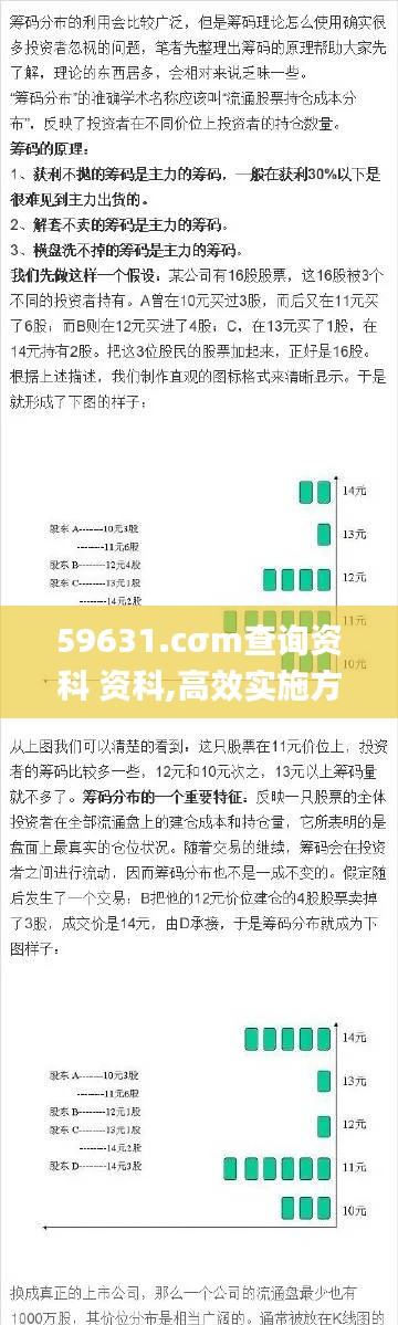 59631.cσm查询资科 资科,高效实施方法解析_T9.937