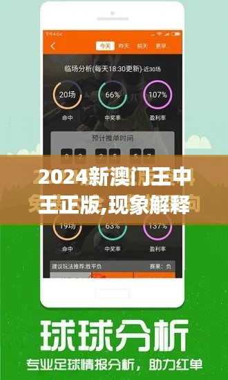 2024新澳门王中王正版,现象解释管理_黄金版4.878